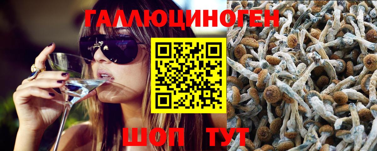 Галлюциногенные грибы прущие грибы  Вход с VPN  Азнакаево 