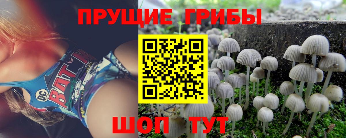 Галлюциногенные грибы Psilocybe Азнакаево